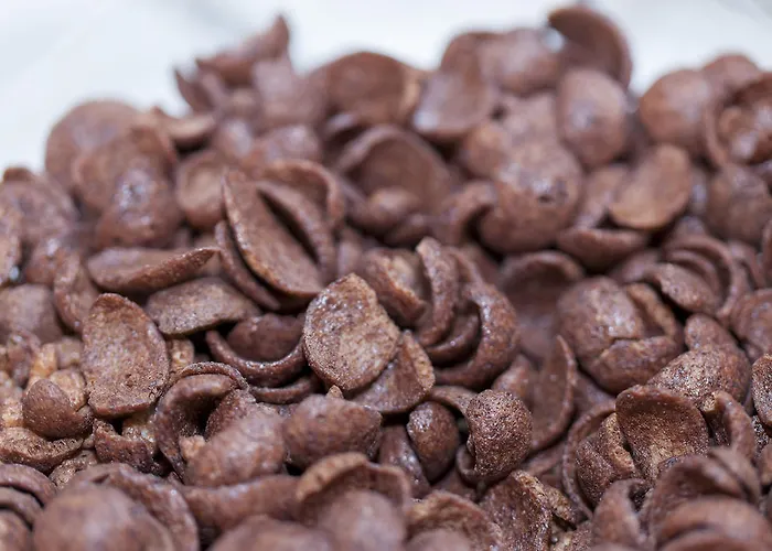 杜克沙普拉亚公寓式酒店 公寓式酒店